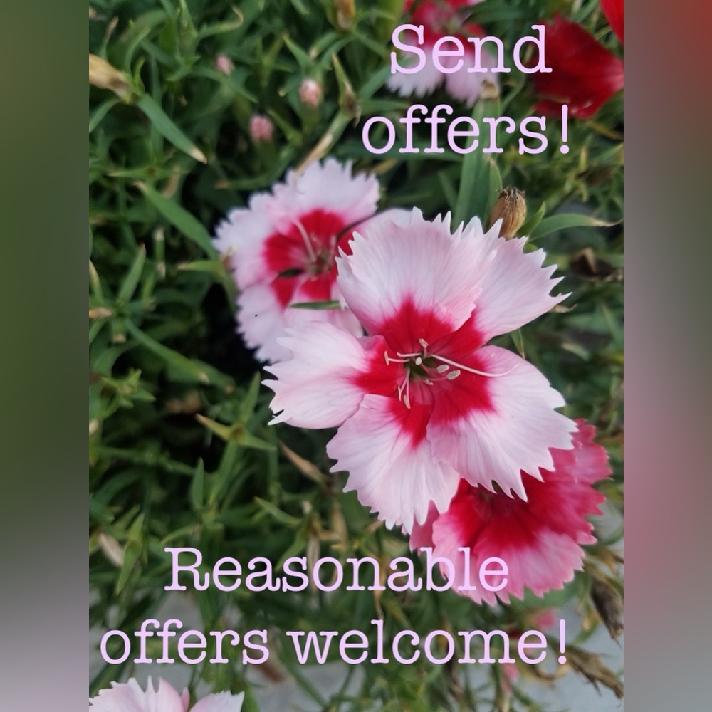Offers welcome!!
